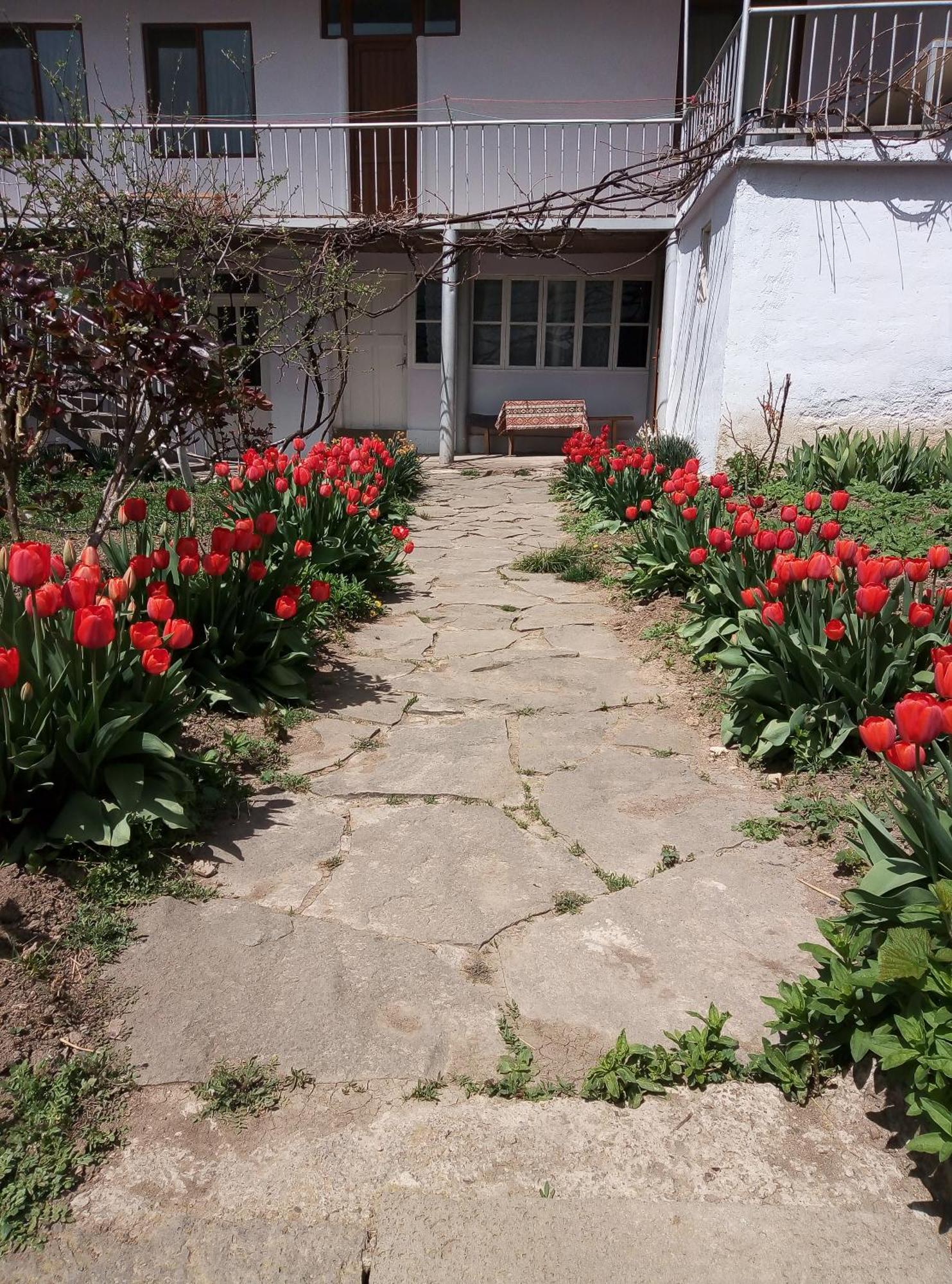 טאטב Aspet B&B מראה חיצוני תמונה